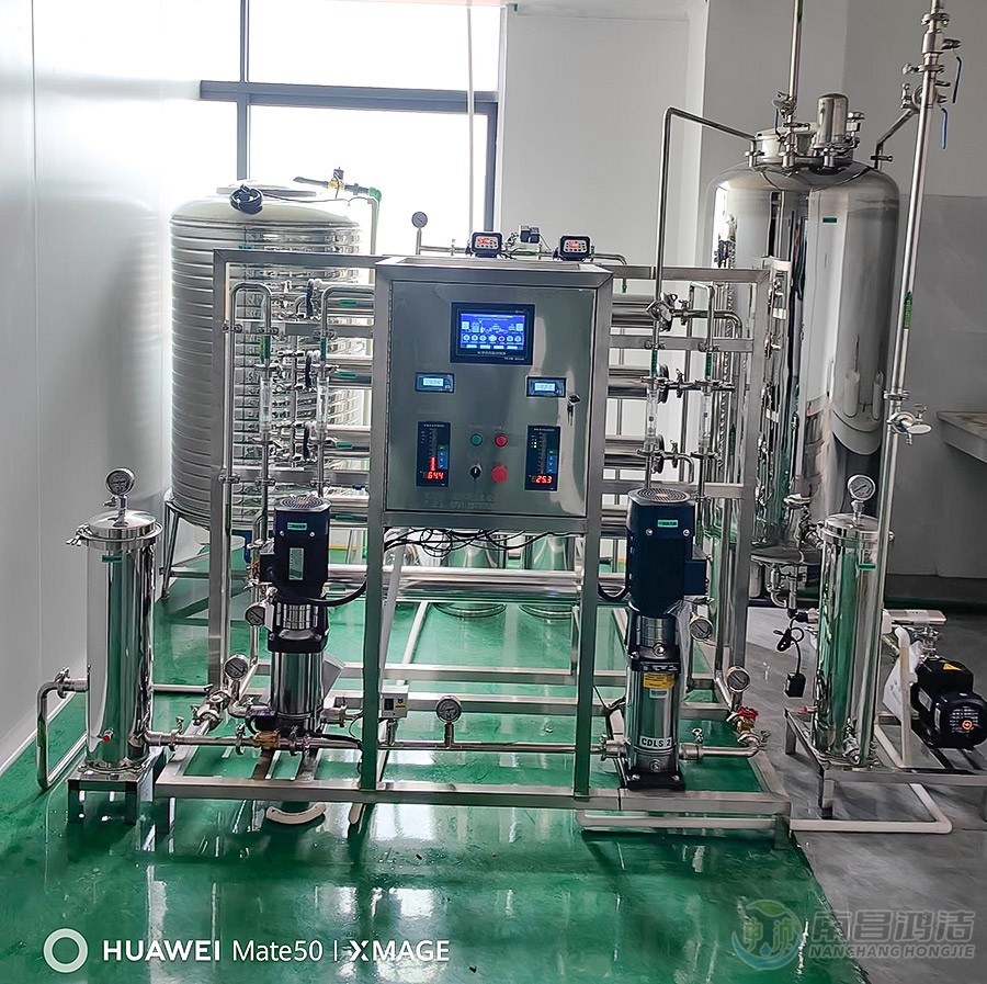 瑞春0.5T二級反滲透設備