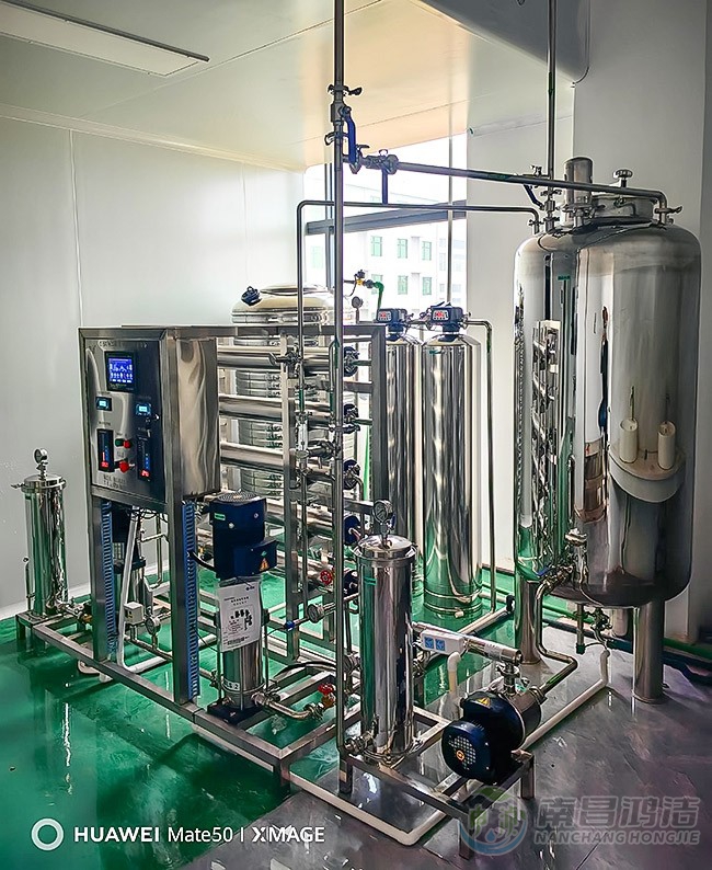 0.5噸二級反（fǎn）滲透純化水設備